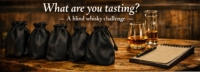 Whisky Club - What Are You Tasting?